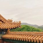 家族·声音 | 家族核心理论探讨之:利他主义与特殊代理