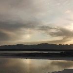 家族·声音 | 守住合法性的底线,把握价值性的边界