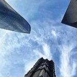 家族·声音 | 形态决定视角:不同的选择与关注