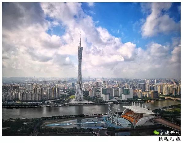 家族·法税 | 规则适用:公司法定代表人表见原则的适用 家族·法税 | 规则适用:公司法定代表人表见原则的适用