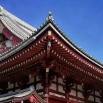 家族·声音 | 结构性工具选择与运用的基本逻辑