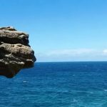 家族·观点 | 家族的传承之根、生命之源——家族文化(下)
