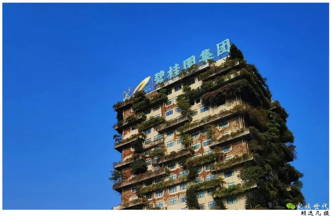 家族·观点 | 碧桂园杨氏家族巨额捐赠——寻求家族价值、企业价值与社会价值的平衡 家族·观点 | 碧桂园杨氏家族巨额捐赠——寻求家族价值、企业价值与社会价值的平衡