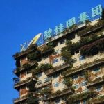 家族·观点 | 碧桂园杨氏家族巨额捐赠——寻求家族价值、企业价值与社会价值的平衡