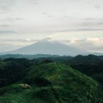 风物长宜:把握家族长周期战略配置机遇——2023年三季度全球投资展望